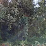 Przy Palacu شقة *