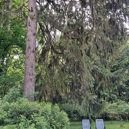 דירה Przy Palacu *