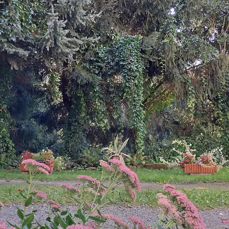 Przy Palacu * Bozkow