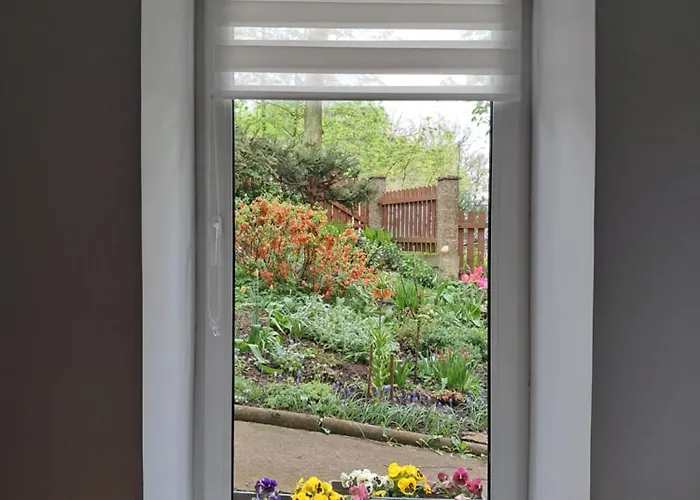 Przy Palacu * Bozkow