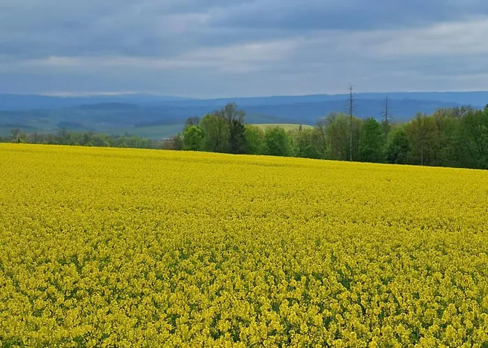 Przy Palacu * Bozkow