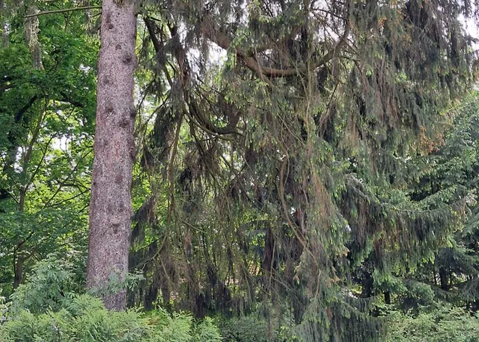 Appartamento Przy Palacu *