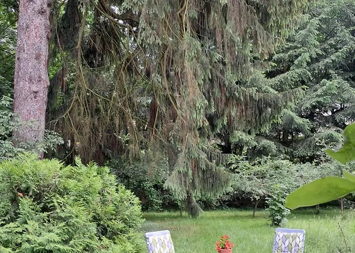 Appartamento Przy Palacu