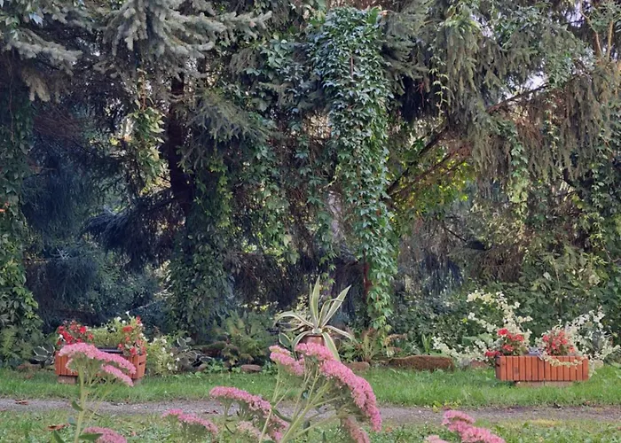 Przy Palacu * Bozkow