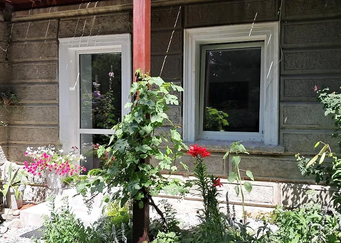 Przy Palacu * Bozkow