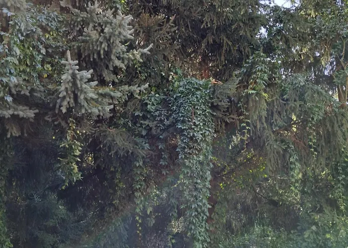 Przy Palacu Διαμέρισμα *