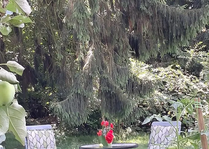 Przy Palacu Διαμέρισμα *