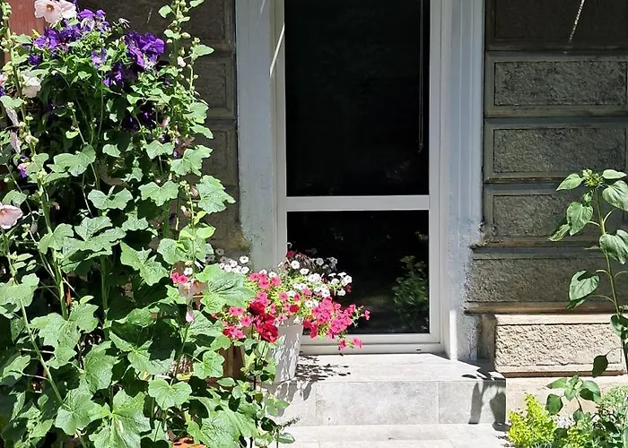 Διαμέρισμα Przy Palacu Bozkow